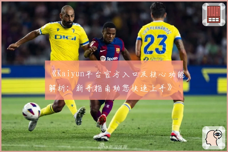 《Kaiyun平台官方入口及核心功能解析：新手指南助您快速上手》